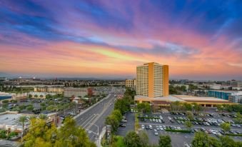 Hotel Fera Anaheim, a DoubleTree by Hilton