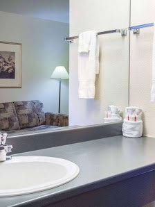 Skyline Paws Apartment